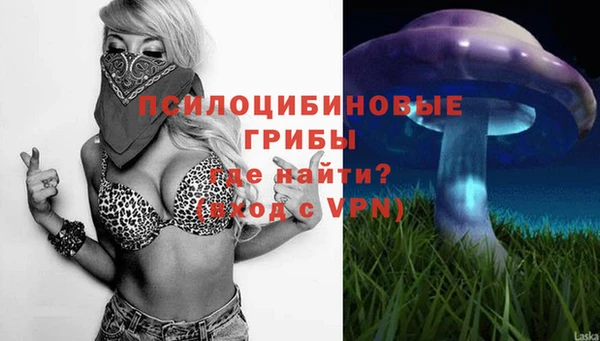 спайс Киреевск